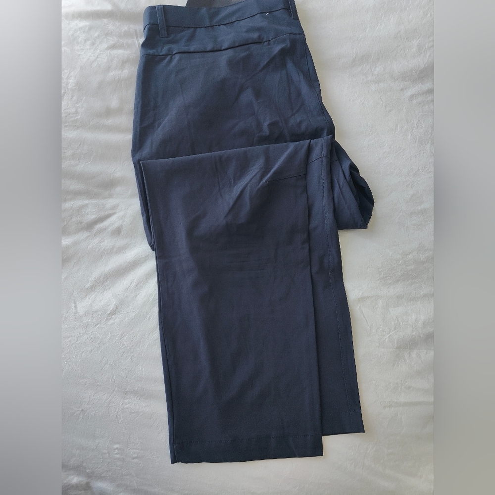 Men's fabletics "fhe only pant"